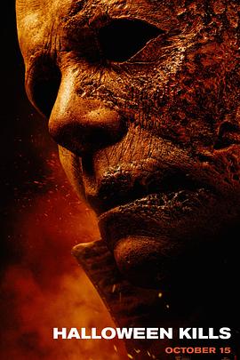 国内精品久久久久久齐齐视频海报剧照