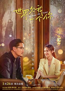 精品久久国产日本海报剧照